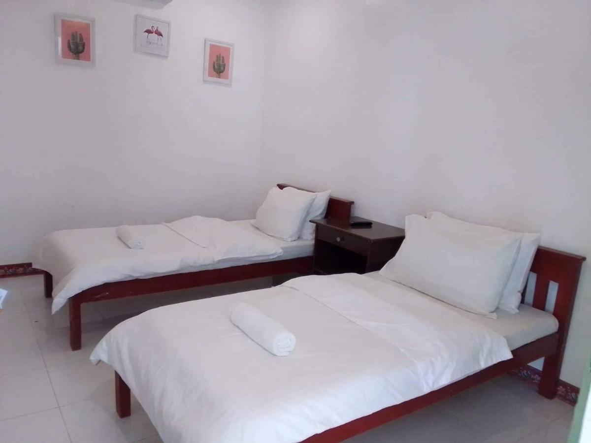Luna Oslob Travellers Inn Extérieur photo
