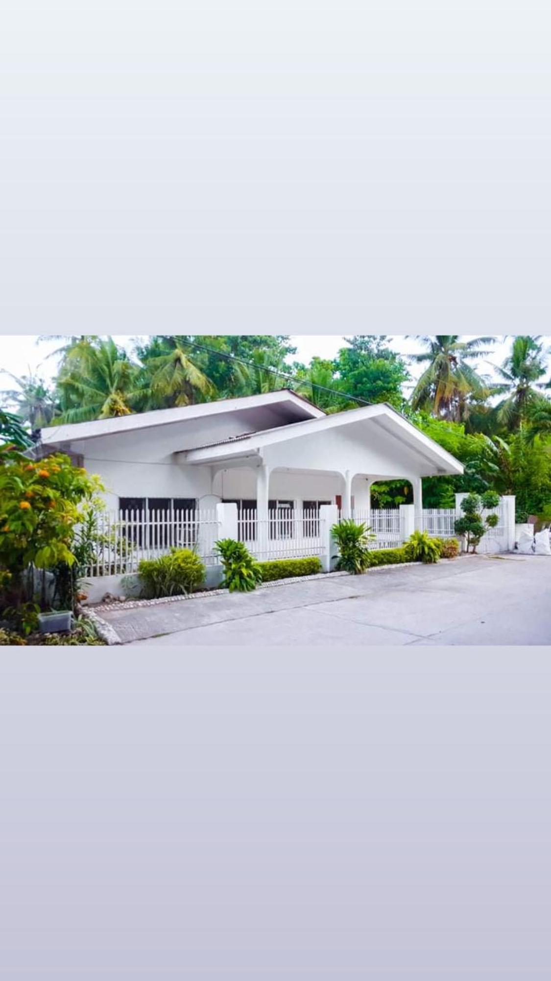 Luna Oslob Travellers Inn Extérieur photo